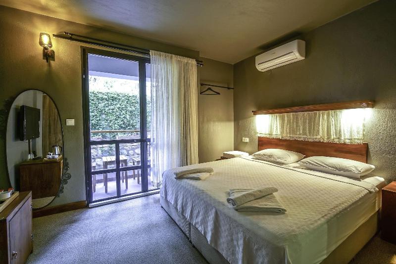 The Green Goose Hotel image
