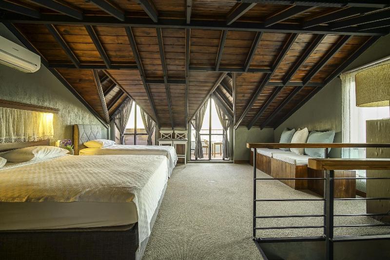 The Green Goose Hotel image