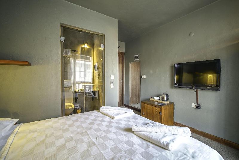The Green Goose Hotel image