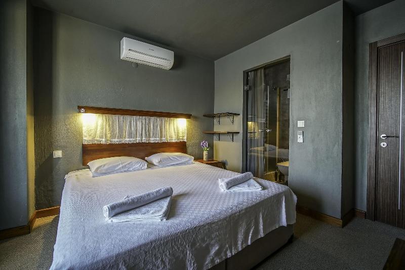 The Green Goose Hotel image