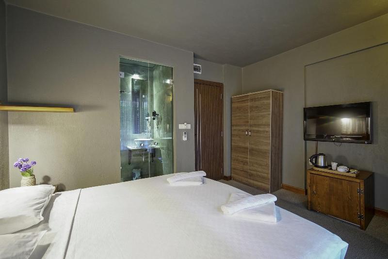 The Green Goose Hotel image