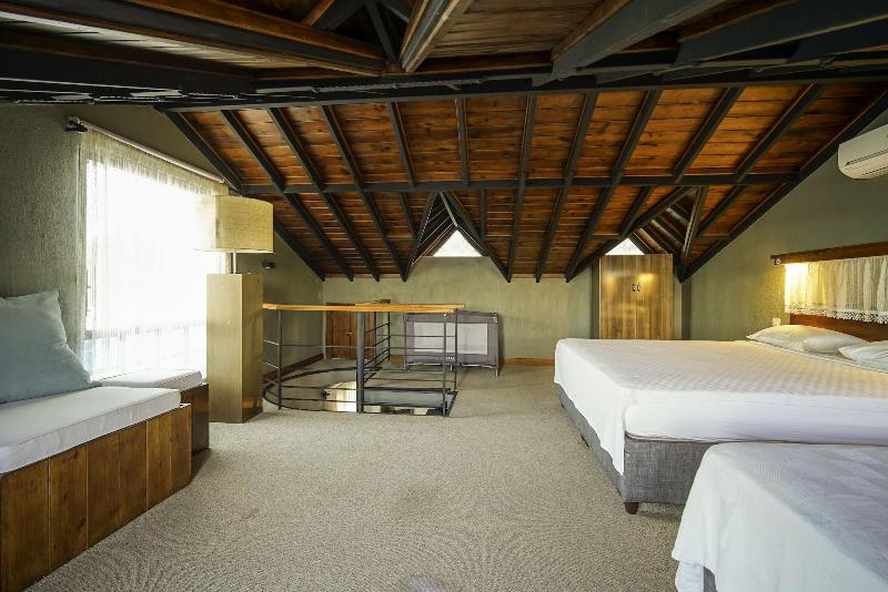 The Green Goose Hotel image