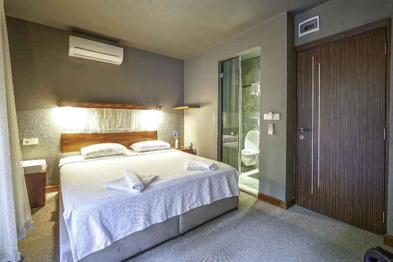 The Green Goose Hotel image