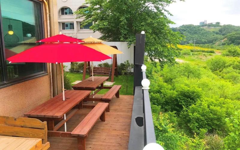 Paju IMT image