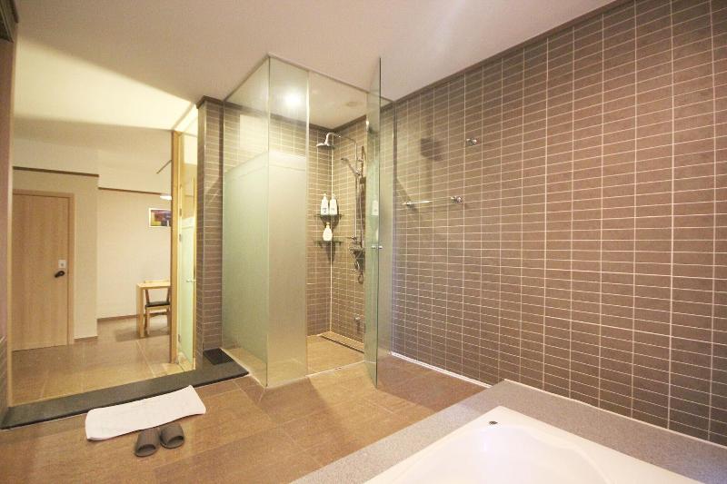 Paju IMT image