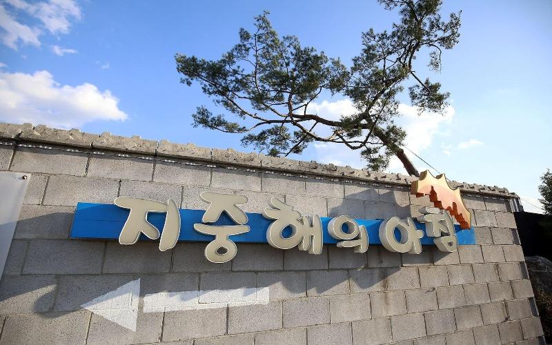Eumseong Jijunghaeui Achim image