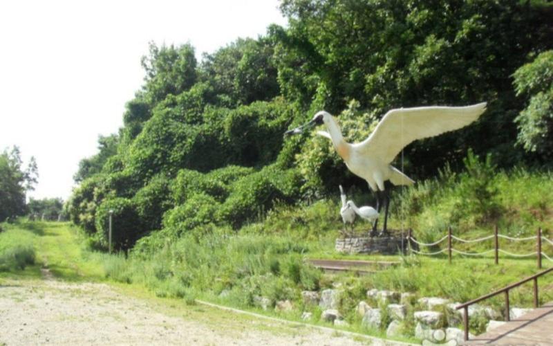 Ganghwa White Stone Pension image