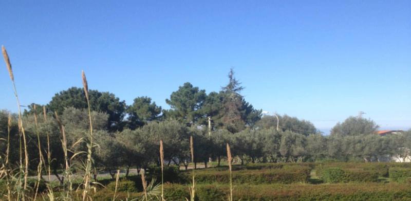 Feudo di Villa Anticaglia image