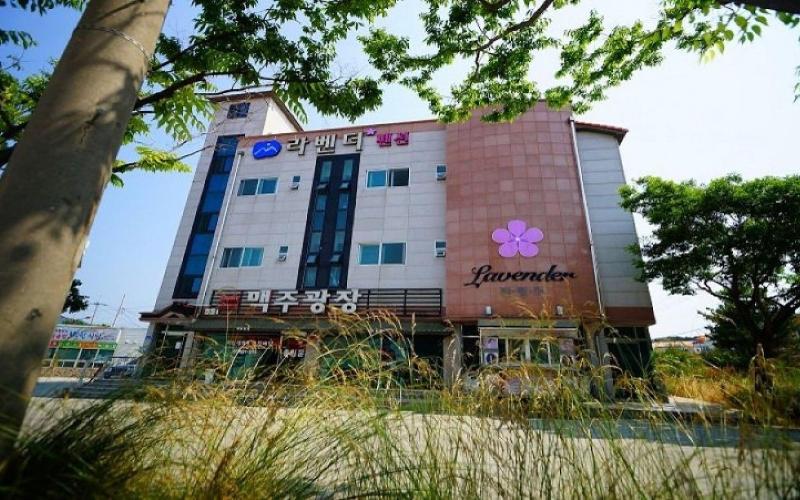 Buan Lavender Pension