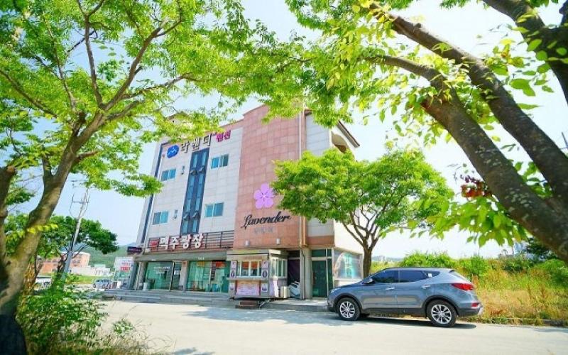 Buan Lavender Pension