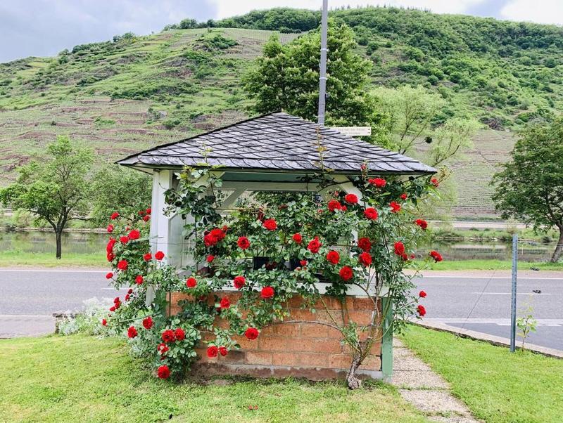 Weinbergs Loge image