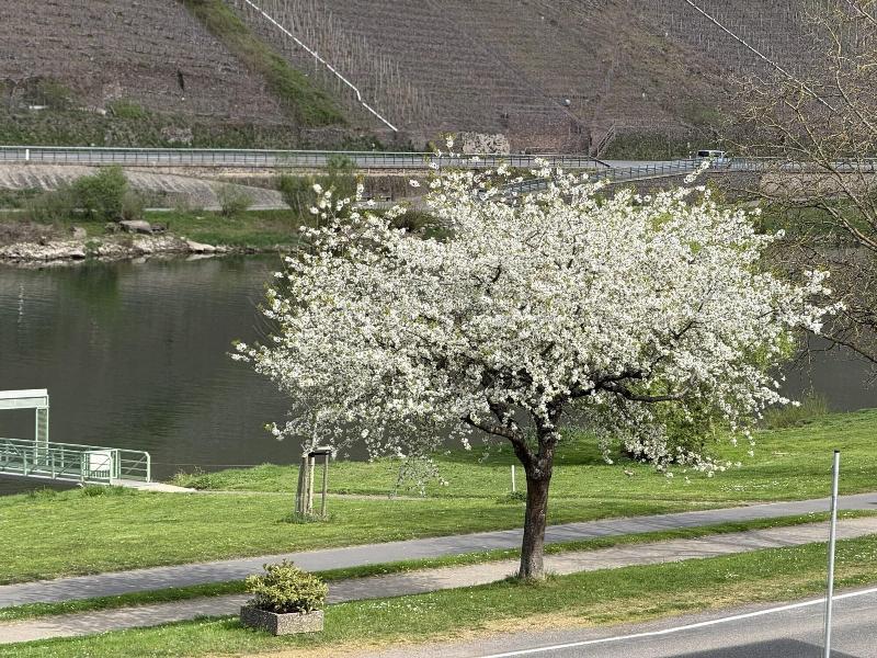 Weinbergs Loge image