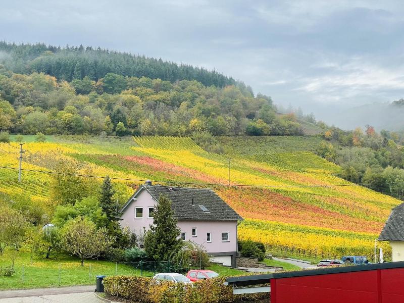 Weinbergs Loge image