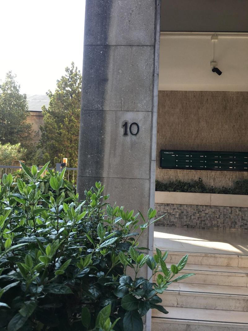 Simoni 10 image