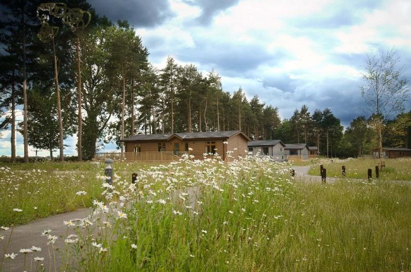 Hollicarrs - Dragonfly Lodge image