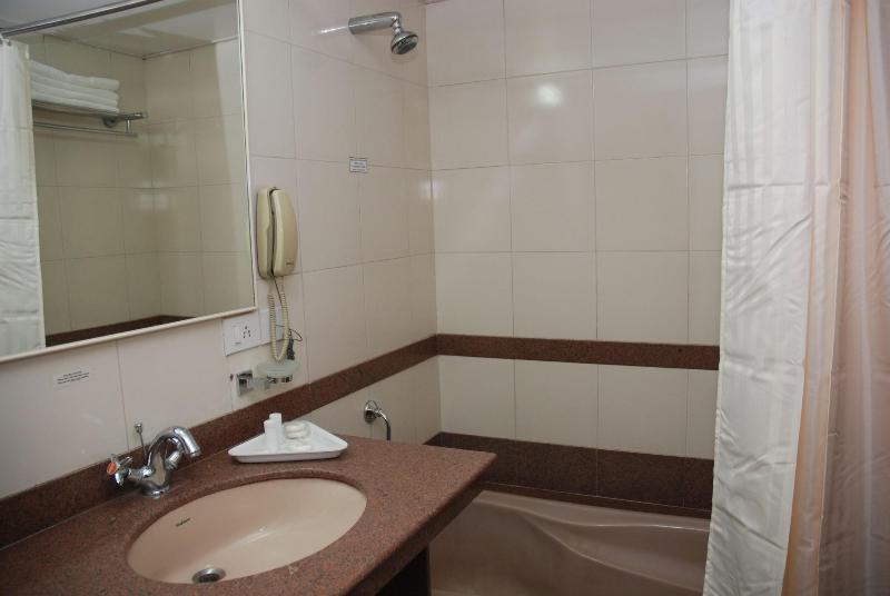 Hotel Ambience Excellency image