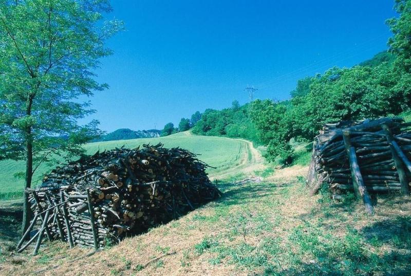 Locanda Amerigo dal 1934 image