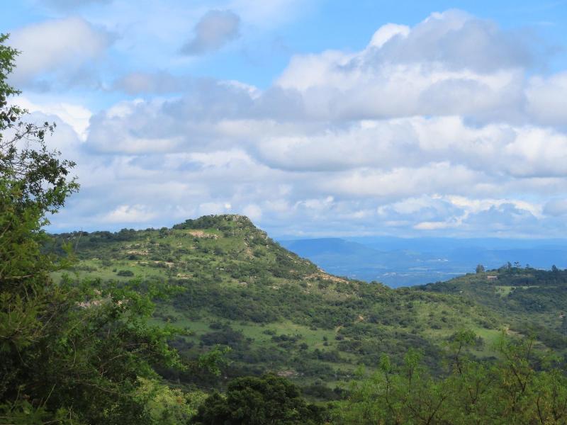 AtNature Luxury Self Catering Cottages — general view