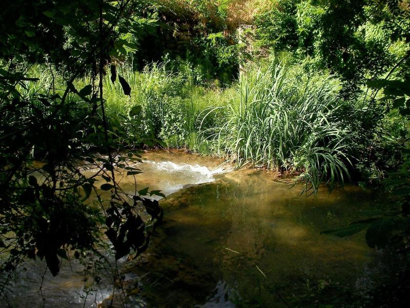 Le Vieux Moulin image