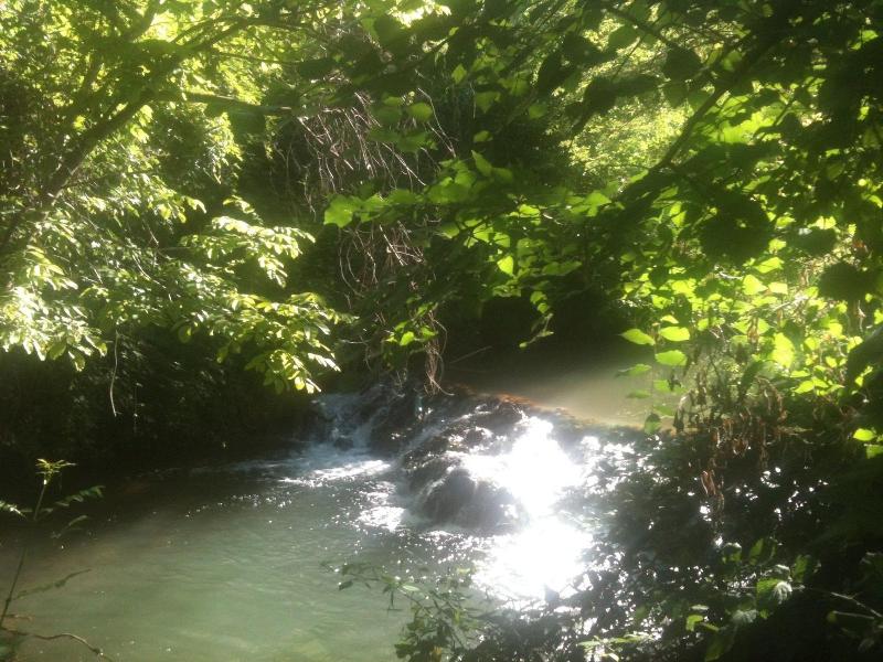 Le Vieux Moulin image