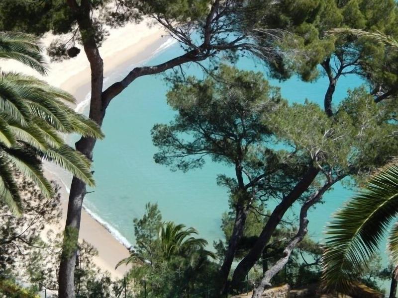 Eden Mar image