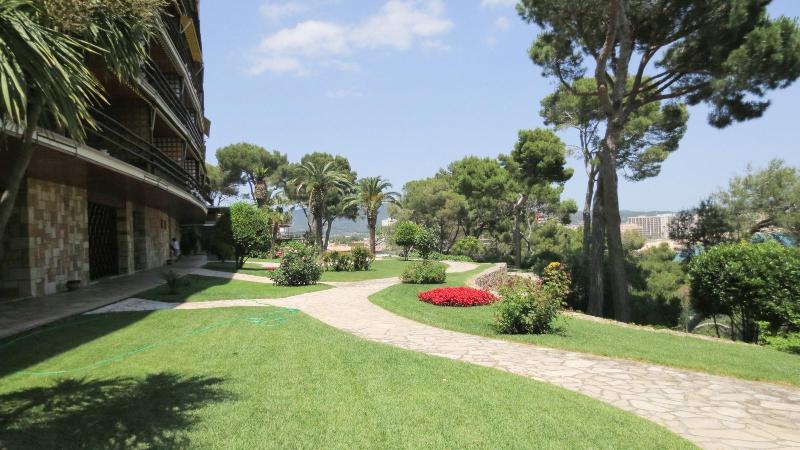 Eden Mar image