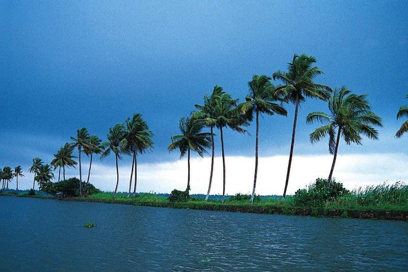 Green Fields image