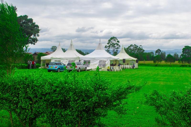 Stem Hotel image