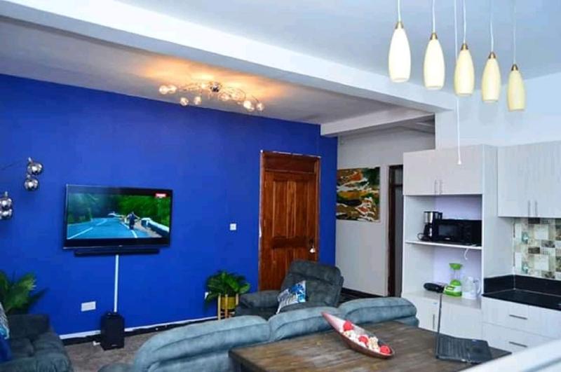 Lux Furnished Apartment image