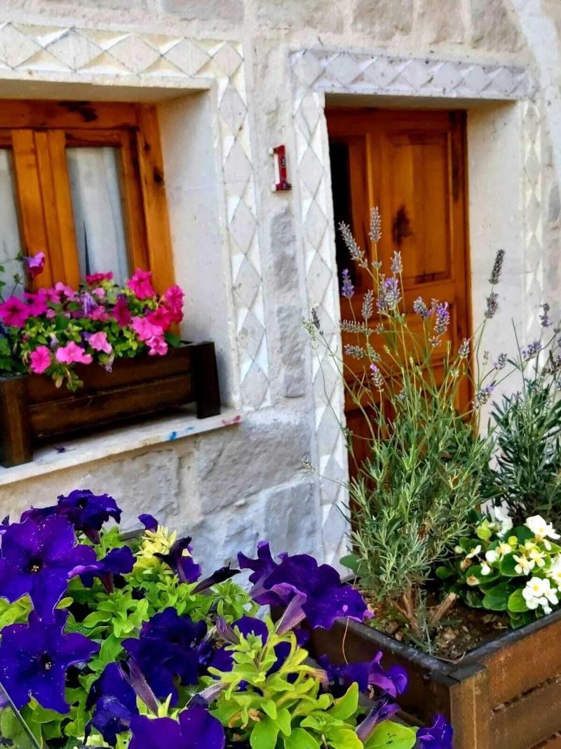 Vigneron Cave Hotel image