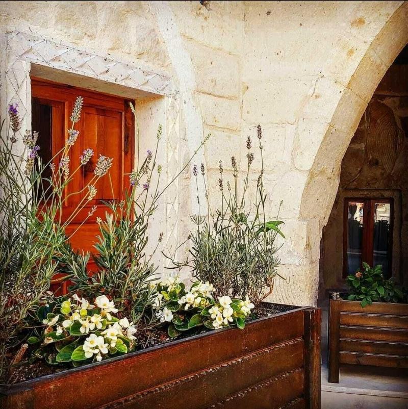 Vigneron Cave Hotel image