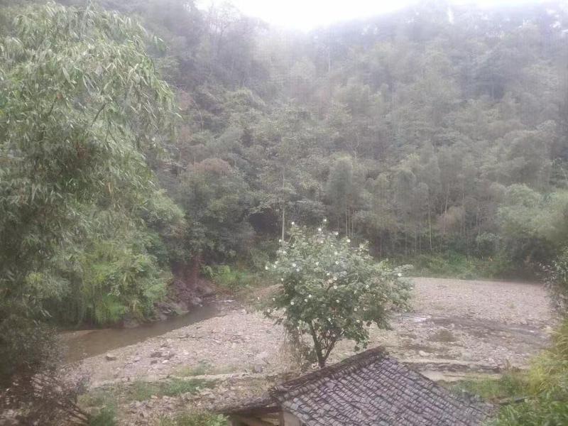 Natural Lodge Homestay
