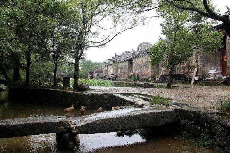 Natural Lodge Homestay