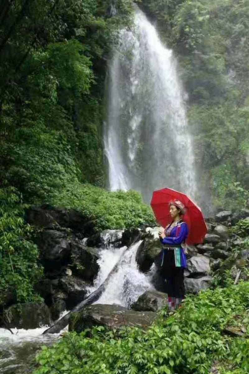 Natural Lodge Homestay