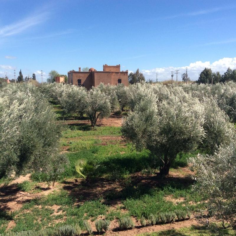 Ferme Sidi Safou image