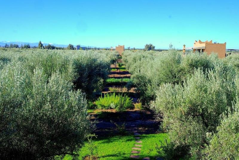 Ferme Sidi Safou image