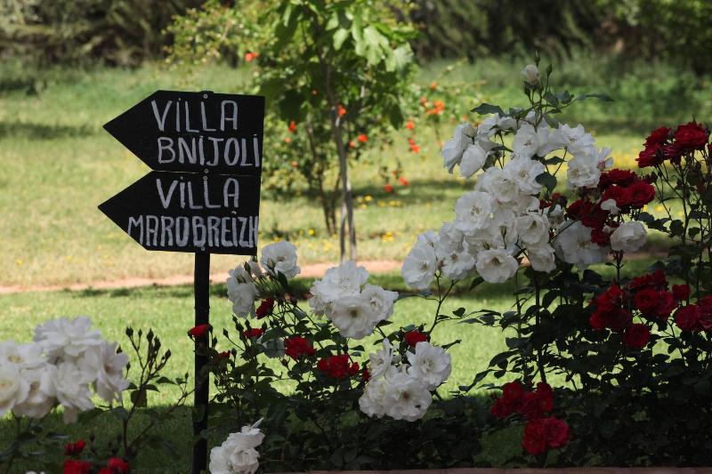 Ferme Sidi Safou image