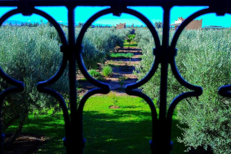 Ferme Sidi Safou image
