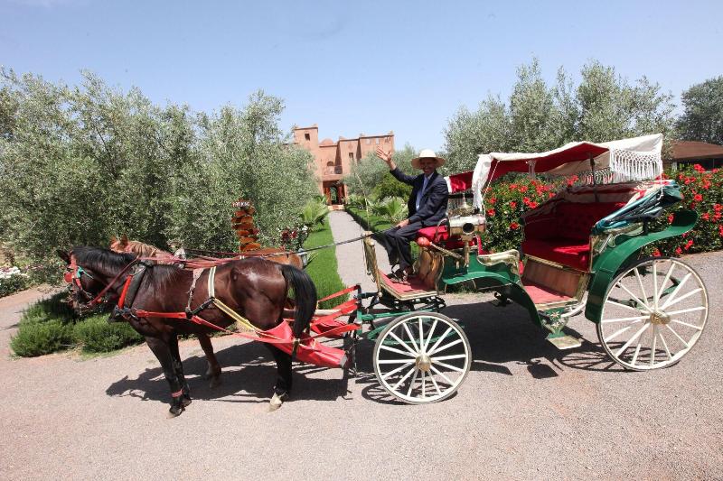 Ferme Sidi Safou image