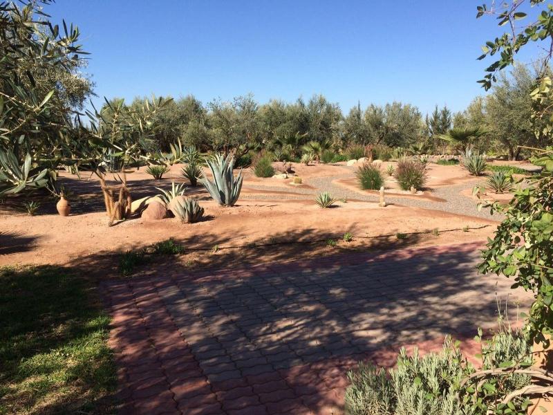 Ferme Sidi Safou image