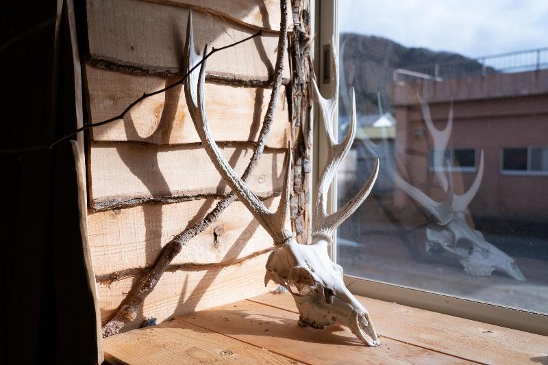 Lodge Mondo - Hostel image