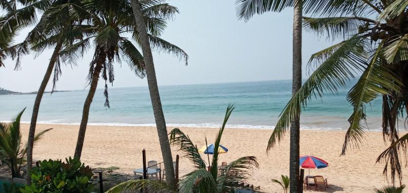 Hotel New Seaside Inn image