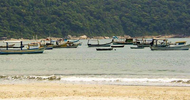 Ponta dos Corais image