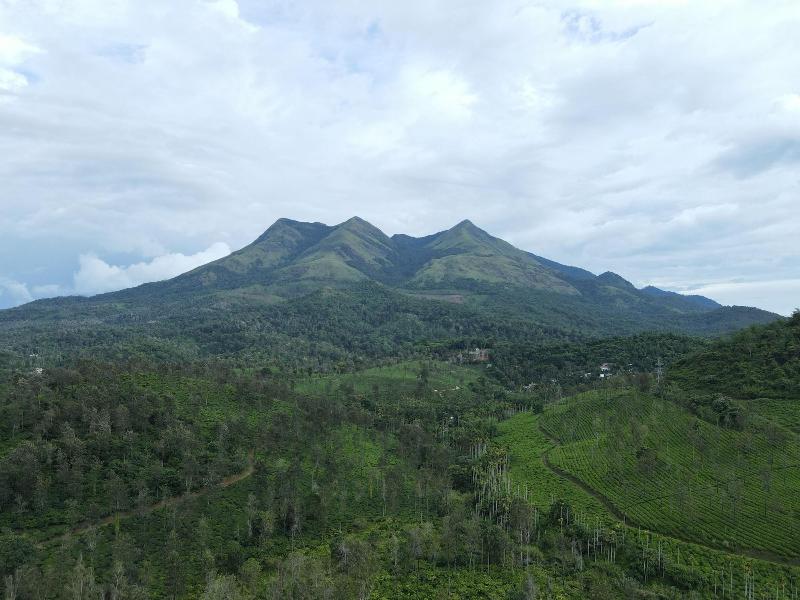 Planet Green Plantation Resort image