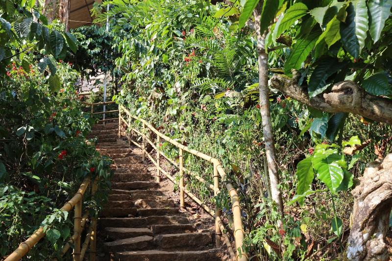 Planet Green Plantation Resort image