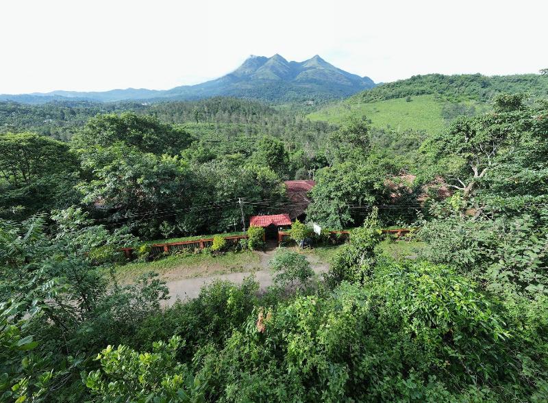 Planet Green Plantation Resort image