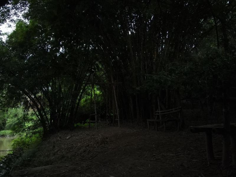 Planet Green Plantation Resort image