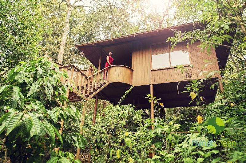 Planet Green Plantation Resort image