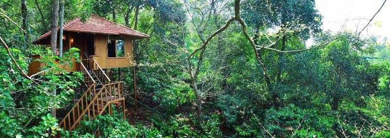 Planet Green Plantation Resort image