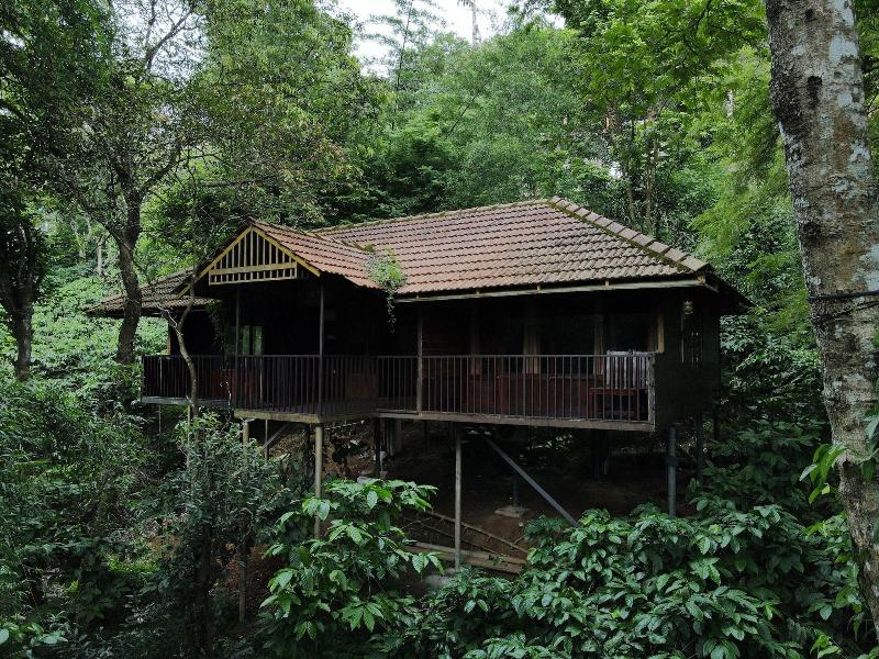 Planet Green Plantation Resort image